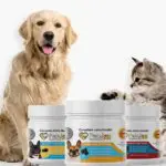 PetJoy Calming Chew Review 2021: Is this Dog multivitamin scam or legit: