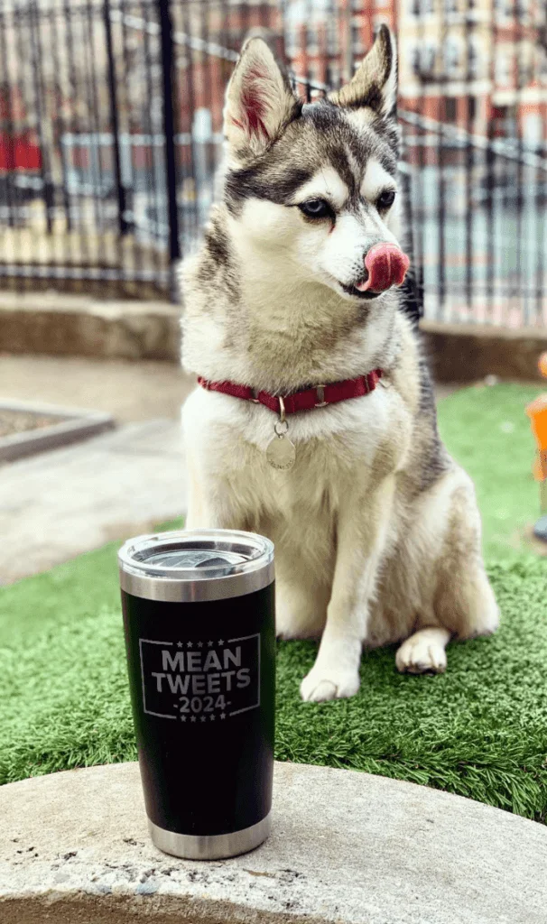 MEAN TWEETS 2024 20oz TUMBLER Reviews: See Why Americans Are Loving This Tumbler! 4 MEAN TWEETS 2024 20oz TUMBLER Reviews.jpeg