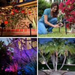 Solarscape 2.0 Review 2021: Don’t spend a dime without reading this!