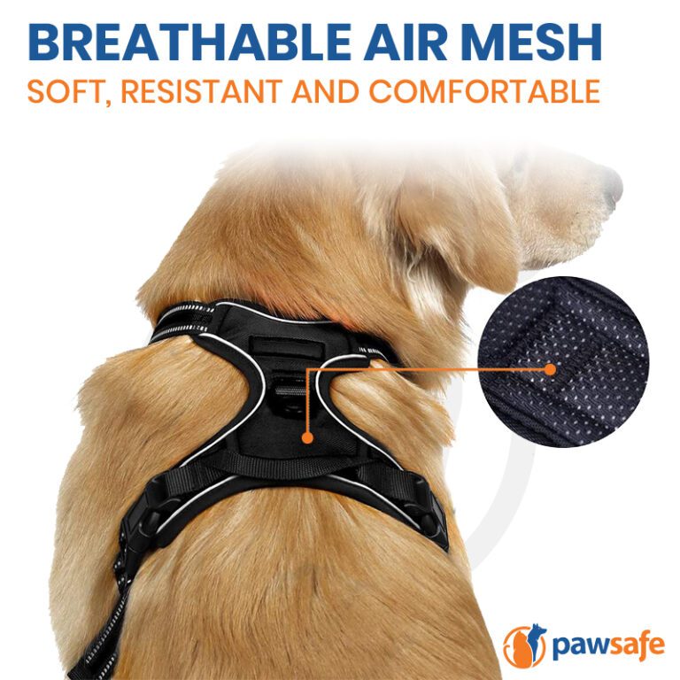 Pawsafe Harness Review 2022 Is PawSafe No Pull Harness Any Good