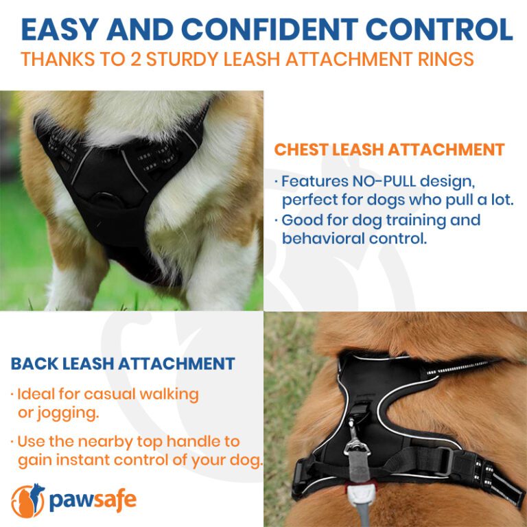 Pawsafe Harness Review 2022 Is PawSafe No Pull Harness Any Good