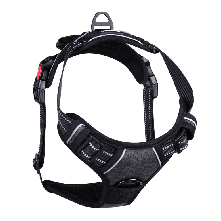 Pawsafe Harness Review 2022 Is PawSafe No Pull Harness Any Good