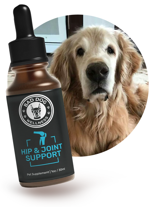Bad Dog Joint Relief Tincture reviews.jpeg 