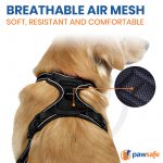 Pawsafe seatbelt review 2022: a pup’s safety belt
