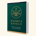Exodus Effect Review 2023 – A Must Read Buyers