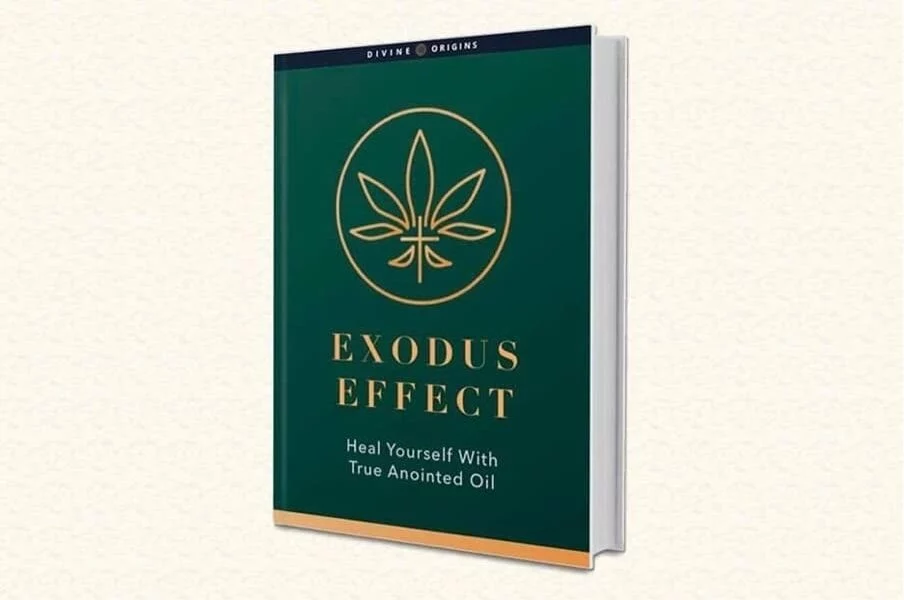Exodus Effect Review 2023