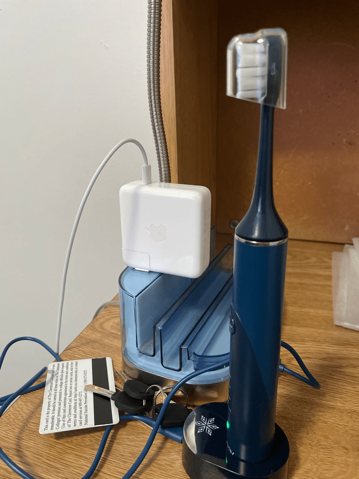 TrySnow LED Toothbrush Reviews 2023