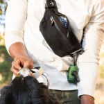 Mountain Hound Bungee Leash Reviews: Customers Report!!