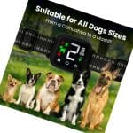 NooBark Reviews: Anti-Bark Collar NooBark Buyer’s Guide And Unbiased Reviews