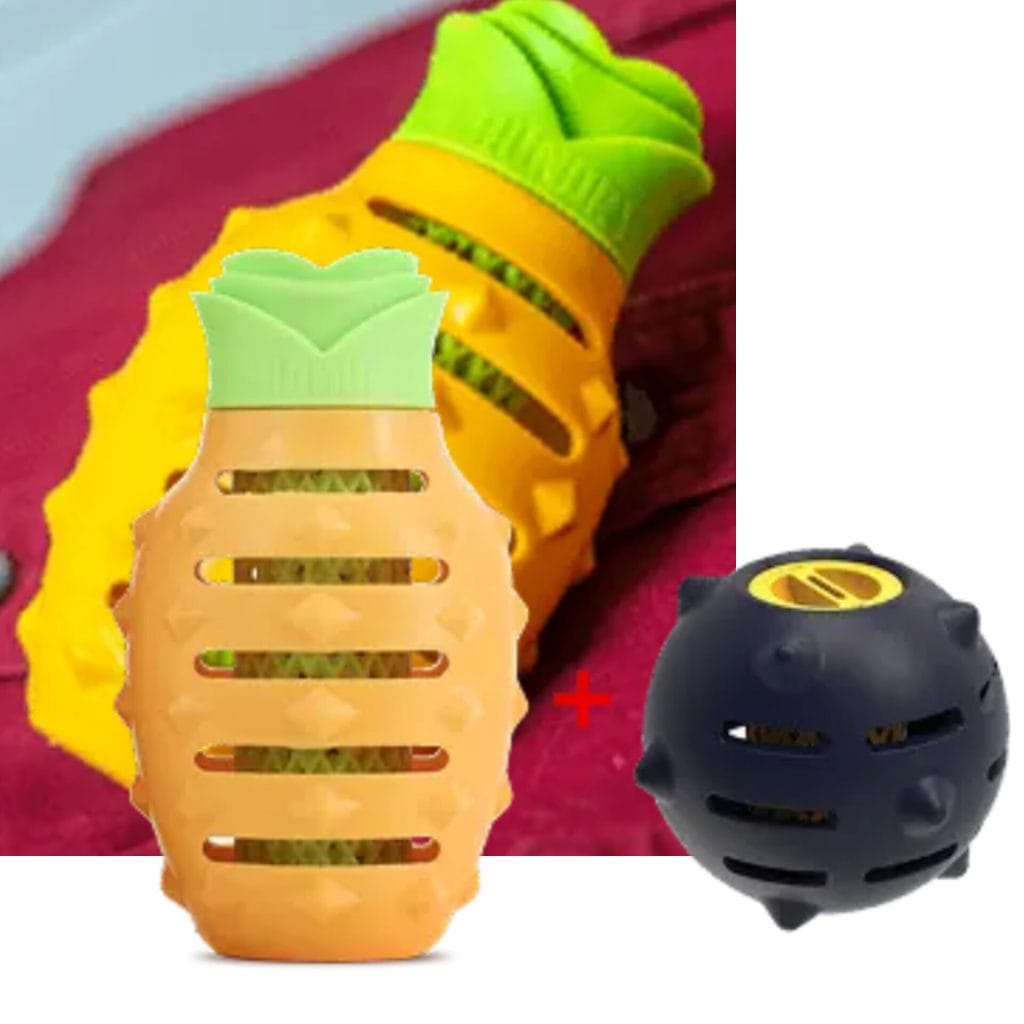 TropiClean Pineapple Reviews: [CONSUMER REPORTS) Must Read Buyers! 3 TropiClean Pineapple Reviews.jpeg
