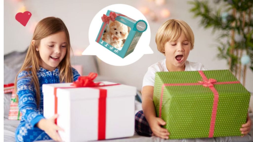 Petsboro ZoomerPup Reviews: Is Zoomer PupPal Worth it? 4 InShot 20251215 104455875