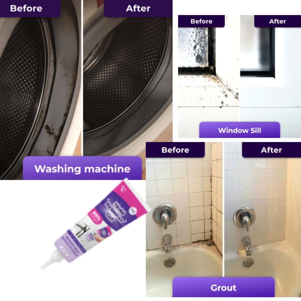 InShot 20260318 143001966