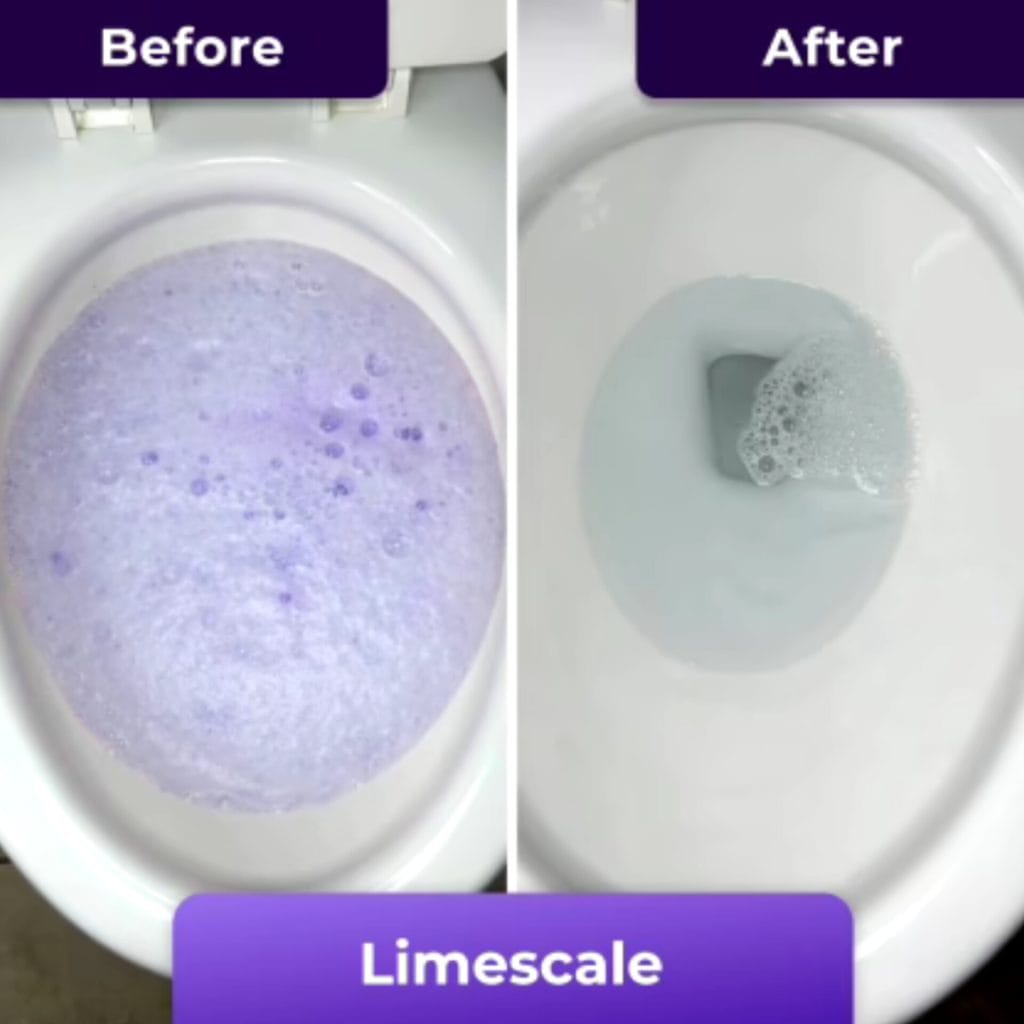 InShot 20260404 150551565